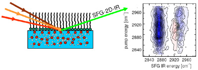 SFG 2D-IR