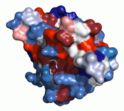 Oxazolidinone